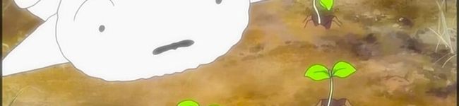 ✡﻿しほちむ✡﻿'s header image