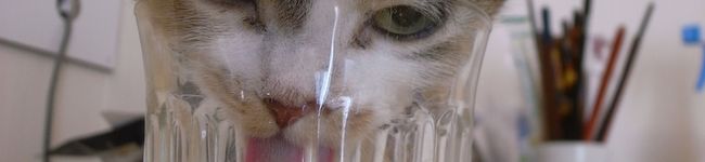 sakkot's header image