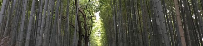 最上徳外's header image