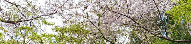 ☆2SKY3479☆'s header image