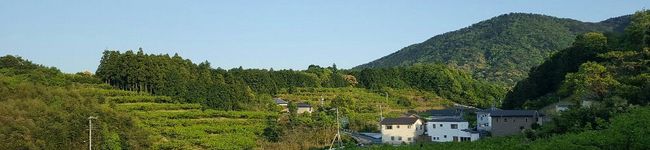 アオねぇ's header image