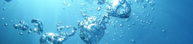 piena's header image