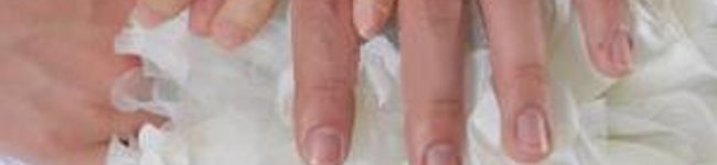 naomiyagawa's header image