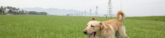 まこれぴ's header image