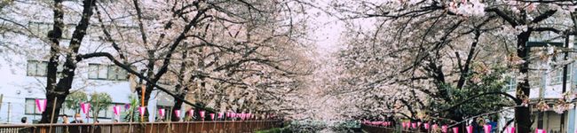 あぶばーそん's header image