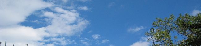 fleuve's header image