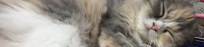 りっちゃまん〜☆'s header image