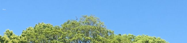 kahko_'s header image
