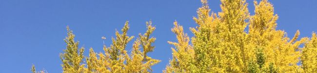 onabegohan's header image
