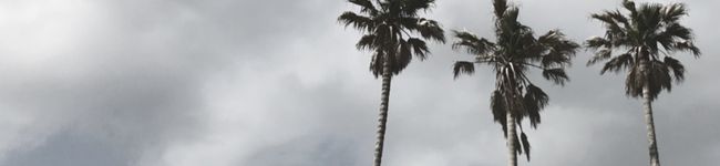 tom’s_home's header image