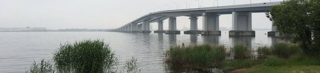 大津京のわんこ's header image