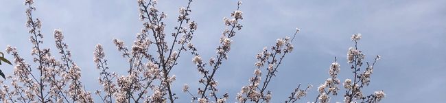 miki_02_25's header image