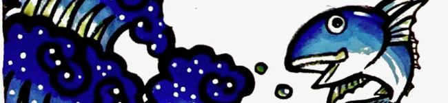 坂井鮮魚's header image