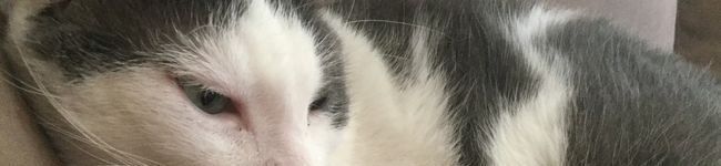 Heno2black's header image