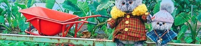 cook☘️frog's header image
