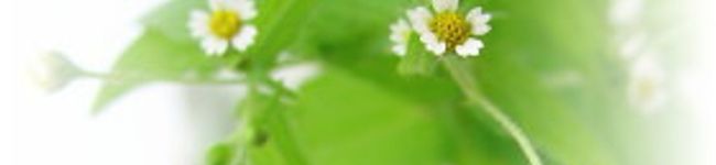 Sweetｙ's header image