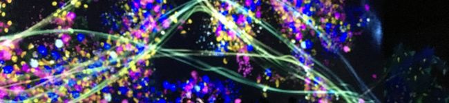 Sho❦'s header image