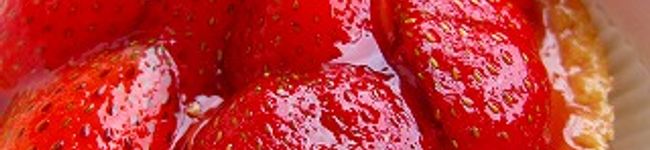 莎紅弥's header image