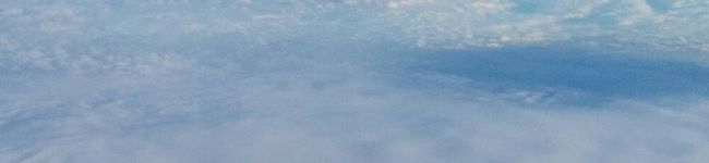 サヨちんクック's header image
