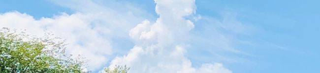 薬膳野菜ソムリエ文's header image