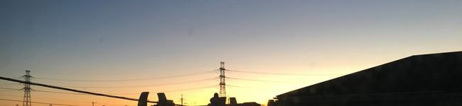 てでぃーべあー's header image