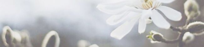 クック990JV5☆'s header image