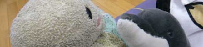 ちきほ's header image
