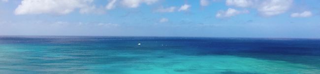 ♡minapiyo♡'s header image