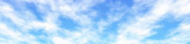 ☆びわクッキー☆'s header image