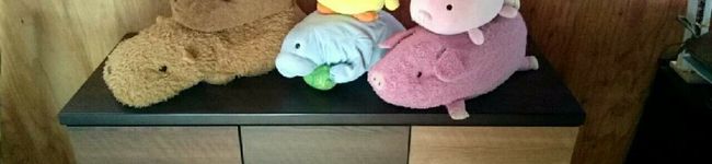 megisato98's header image