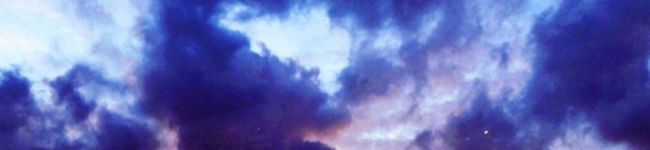 seina51's header image