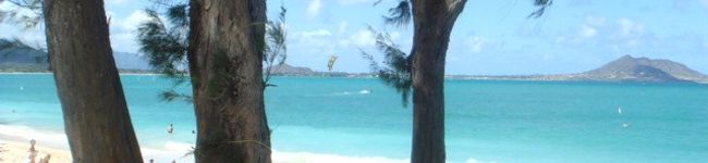 apapane's header image