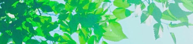 きゃの！！'s header image