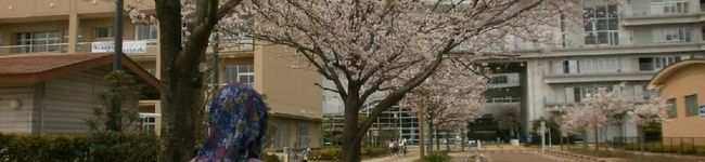 hanaizu's header image