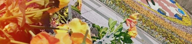 食い意地張り助's header image