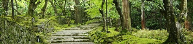 ヘクター君's header image