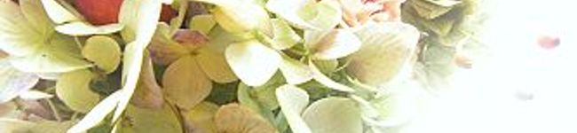 choco-86's header image