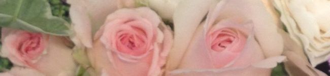 あやぽん♡♡'s header image