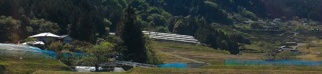 恵那市観光佐藤農園's header image