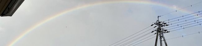 タモEco's header image