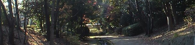 アロハパイン's header image