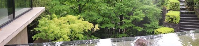 ひよこママ's header image