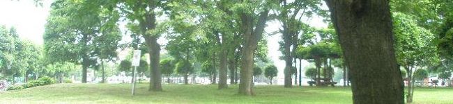 KENNPI's header image