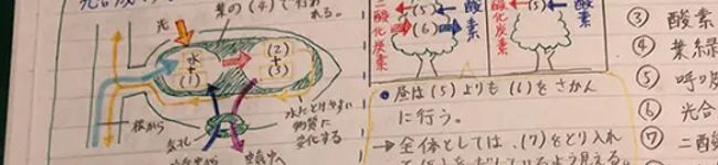 擅长的科目是理科、数学和汉字。's header image