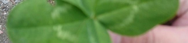 ☆おがっち☆'s header image