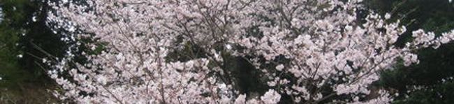 ぽんたろう寿司's header image