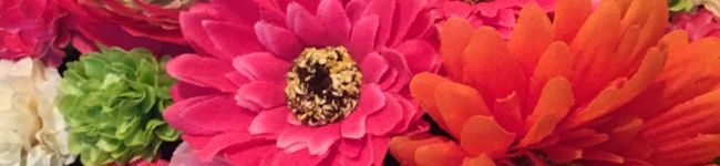 リリー421's header image