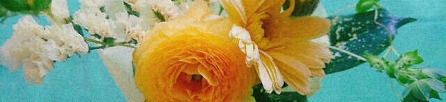 miｰko9933's header image