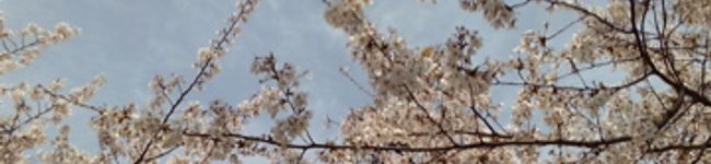 ハコネコ's header image