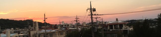 mirei3050's header image